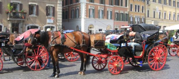 La tipica Botticella romana: tutti i candidati sindaco pronti ad eliminarla. La tipica Botticella romana: tutti i candidati sindaco pronti ad eliminarla.