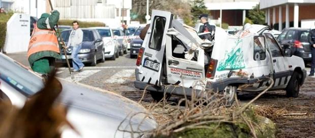 Queda da árvore esmagou a vítima de 71 anos Queda da árvore esmagou a vítima de 71 anos