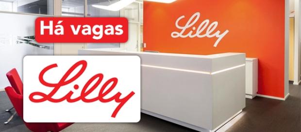 Vagas Lilly - Foto: Reprodução Bolon Vagas Lilly - Foto: Reprodução Bolon