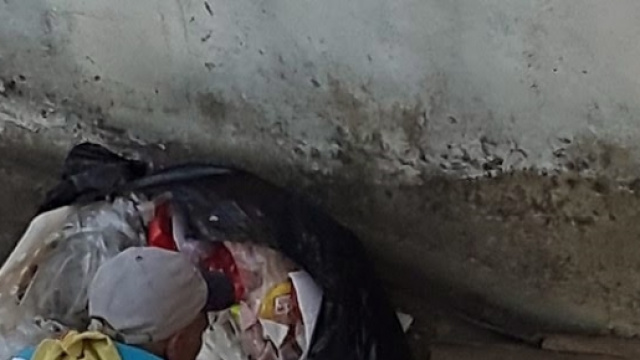 Carne avariata recuperata dalla spazzatura