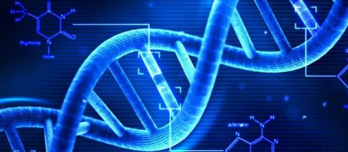 Creare genoma umano in laboratorio