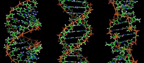 FIlamenti di DNA, possibile non trasmere malattie genetiche