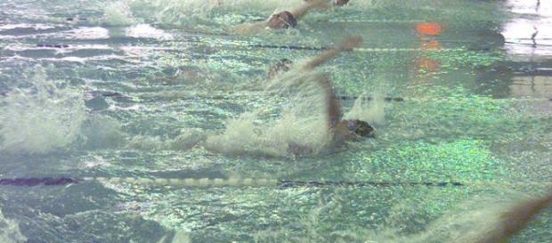 Natação é um dos esportes olímpicos. Foto: Wikipedia Natação é um dos esportes olímpicos. Foto: Wikipedia
