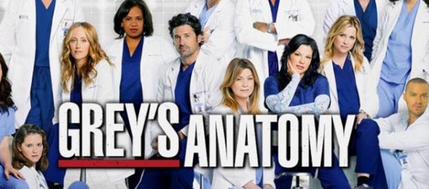 O elenco de Anatomia de Grey regista mais uma baixa no final da 12ª temporada. O elenco de Anatomia de Grey regista mais uma baixa no final da 12ª temporada.