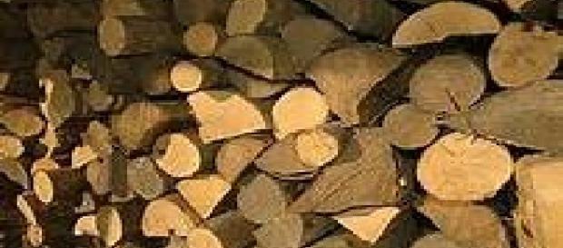 Reparten leña por el precio de las garrafas Reparten leña por el precio de las garrafas