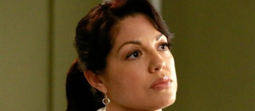 Grey's Anatomy: Callie Torres (Sara Ramirez)