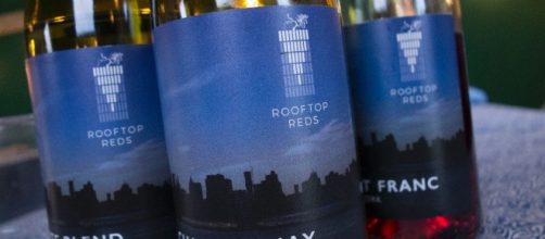 Le primissime bottiglie del Rooftop Wine