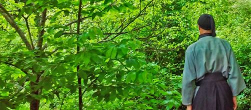 Shinrin Yoku la Ciencia avala los Beneficios de la Naturaleza