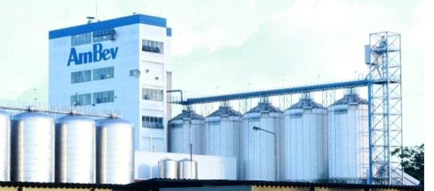 Ambev contratando: várias vagas para diversos estados Ambev contratando: várias vagas para diversos estados