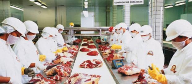 De acordo com denúncias, a indústria de alimentos da China estaria processando carne de cadáveres e enviando a países da África. De acordo com denúncias, a indústria de alimentos da China estaria processando carne de cadáveres e enviando a países da África.