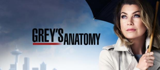 Grey's Anatomy: anticipazioni tredicesima stagione Grey's Anatomy: anticipazioni tredicesima stagione
