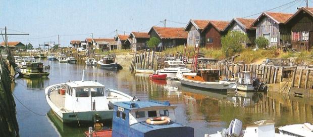 Vue sur l'un des 7 ports de Gujan-Mestras : celui de Larros. Vue sur l'un des 7 ports de Gujan-Mestras : celui de Larros.