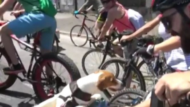 Ultime notizie Roma, marted&igrave; 24 maggio: critical mass verso Ostia