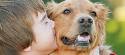 Crianças que têm contato com cães têm sistema imunológico fortalecido.