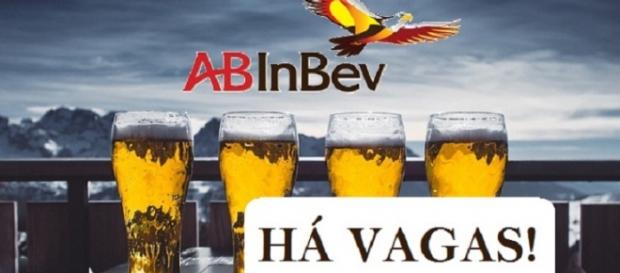 Foto: AB InBev - Confira quais são os cargos na multinacional! Foto: AB InBev - Confira quais são os cargos na multinacional!