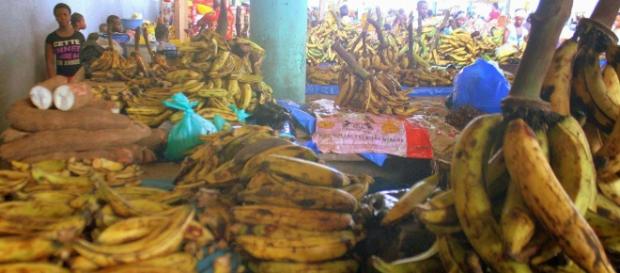 Marché de manioc et de bananes plantain à Abidjan Marché de manioc et de bananes plantain à Abidjan