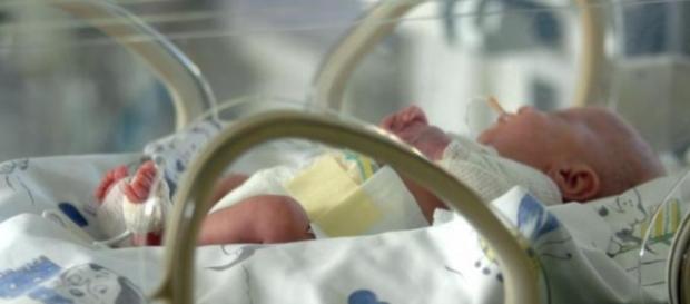 Neonato in vendita per 9000 euro Neonato in vendita per 9000 euro
