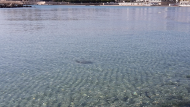 La lista delle spiegga pi&ugrave; belle d'Italia.