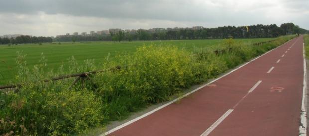 Roma e il problema delle piste ciclabili. Roma e il problema delle piste ciclabili.