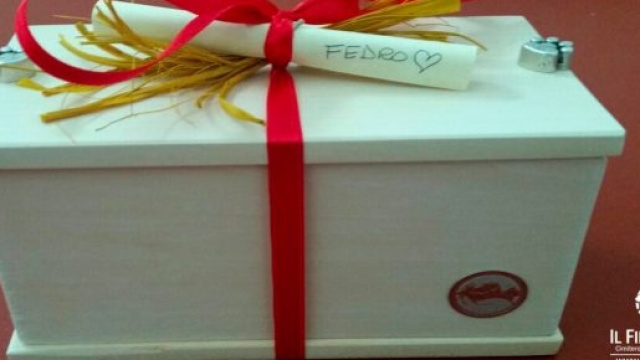 la piccola urna per il riaffido delle ceneri degli animali