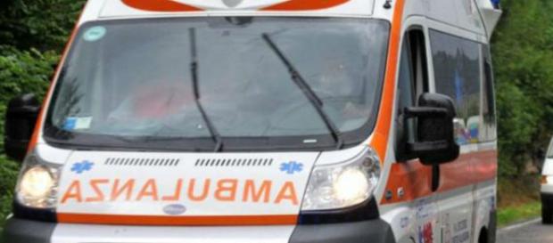 Calabria, ferisce fratello a coltellate Calabria, ferisce fratello a coltellate