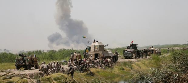 le forze irachene entrano a falluja le forze irachene entrano a falluja