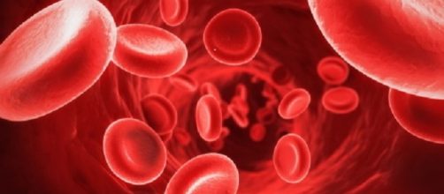 E' tempo di bilanci per i nuovi anticoagulanti orali (NOAC) usati nella prevenzione dell'ictus