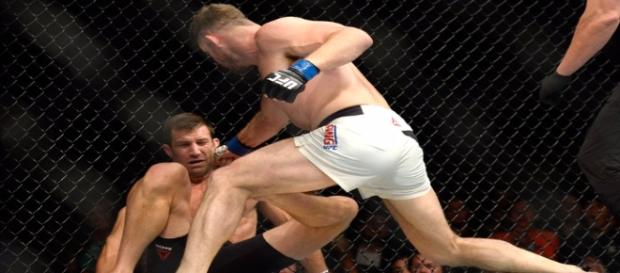 Bisping nocauteando Luke (créditos: sportv) Bisping nocauteando Luke (créditos: sportv)