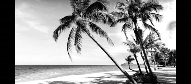La isla en la que sus habitantes ven en blanco y negro La isla en la que sus habitantes ven en blanco y negro
