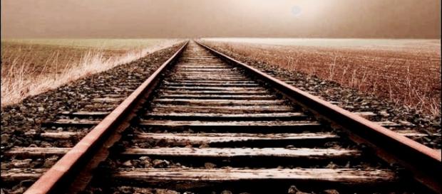 El camino de la vida que llevamos. El camino de la vida que llevamos.