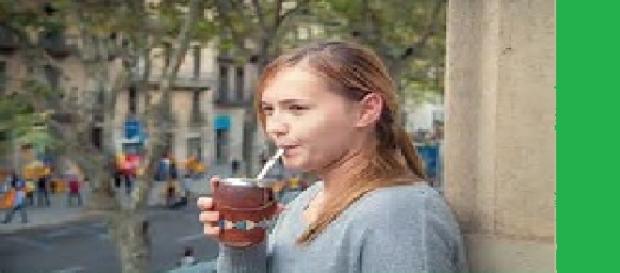 El mate tiene beneficios en el Parkinson El mate tiene beneficios en el Parkinson