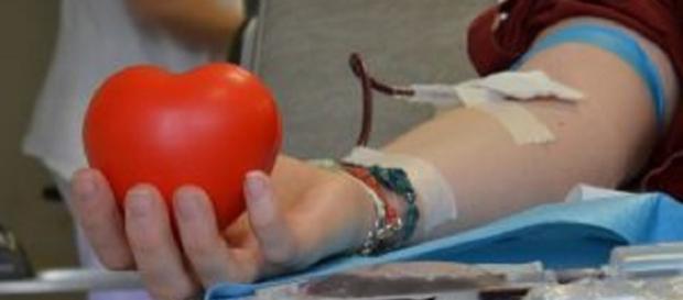 Cosenza, ragazza ha bisogno di sangue Cosenza, ragazza ha bisogno di sangue