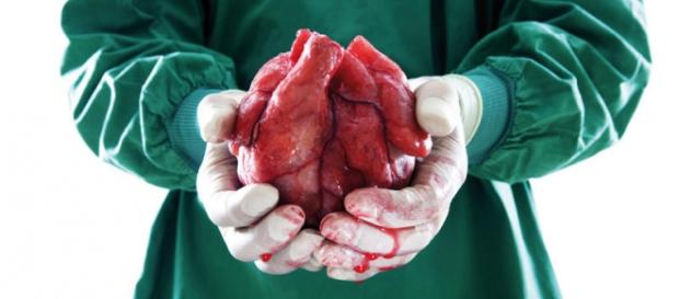 Transplante de corazón en México. Foto Quo Transplante de corazón en México. Foto Quo