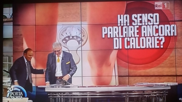 Lemme improvvisato conduttore di "Porta a Porta"