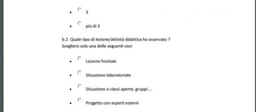 la compilazione del questionario su Indire del tutor