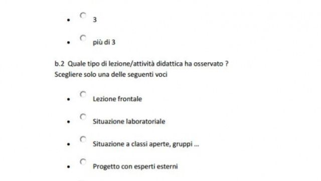 la compilazione del questionario su Indire del tutor