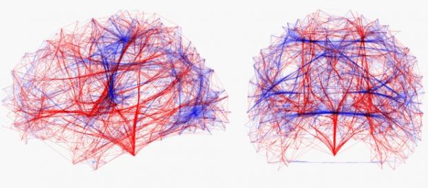 Le connessioni tra i due emisferi (IEEE https://www.computer.org/) Le connessioni tra i due emisferi (IEEE https://www.computer.org/)