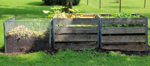 il compost una ricchezza per l'ambiente.