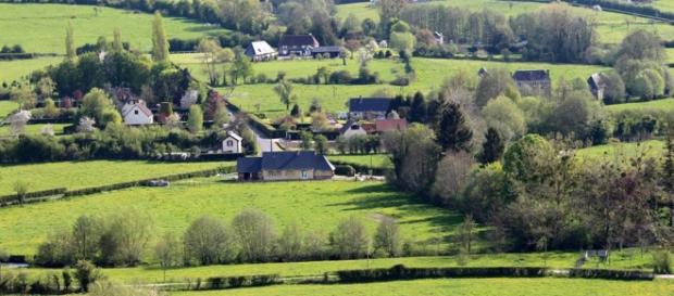le bocage normand selon l'oeil expert de Sylvie Gérault Ganivet le bocage normand selon l'oeil expert de Sylvie Gérault Ganivet
