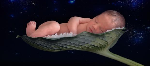 Lo que siente el bebé recién nacido Lo que siente el bebé recién nacido