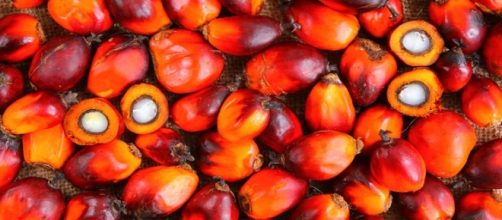 Coop ritira prodotti a base di olio di palma