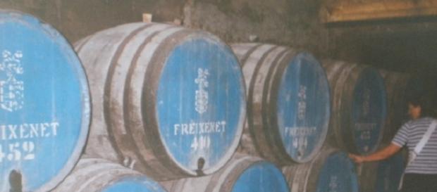 Barricas con el cava en las bodegas de Freixenet (F. del A.). Barricas con el cava en las bodegas de Freixenet (F. del A.).