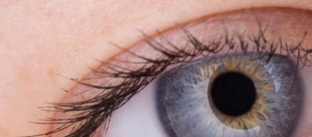 ojo bionico implantado por primera vez ojo bionico implantado por primera vez