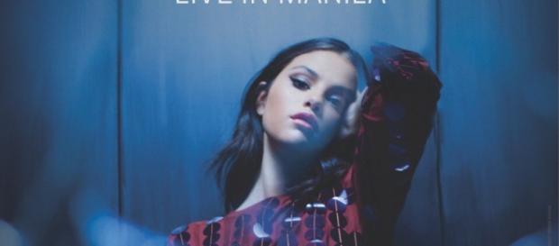 Selena Gomez reacciona ante fans de "Jelena" Selena Gomez reacciona ante fans de "Jelena"