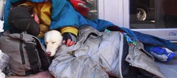 Sem abrigo e o seu cão dormem ao relento Sem abrigo e o seu cão dormem ao relento