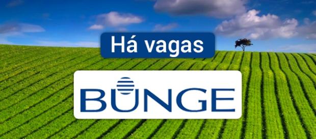 Vagas na Bunge. Foto: Reprodução Natures-desktop. Vagas na Bunge. Foto: Reprodução Natures-desktop.
