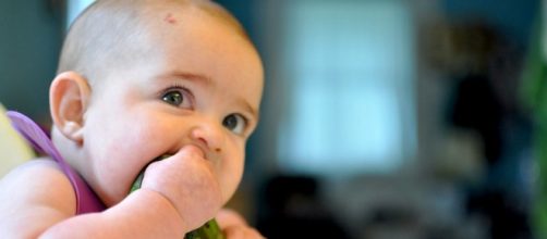Dieta vegana non è adatta ai bimbi: monito dei pediatri italiani