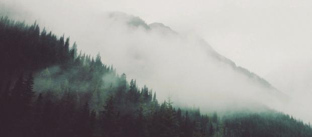 El pesimismo en la filosofía de Schopenhauer El pesimismo en la filosofía de Schopenhauer