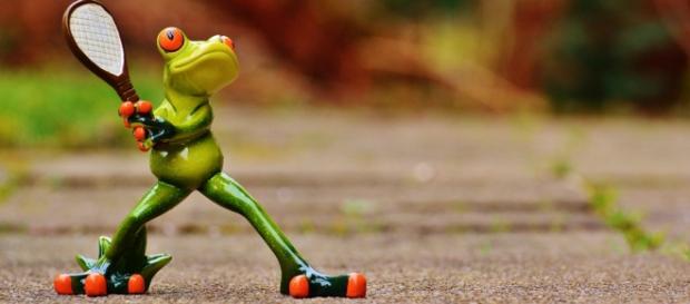Il faut être une grenouille pour jouer à Roland Garros ! Il faut être une grenouille pour jouer à Roland Garros !