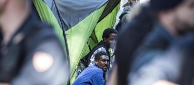 Sparatoria nel campo di immigrati di San Ferdinando a Rosarno, extracomunitario ucciso Sparatoria nel campo di immigrati di San Ferdinando a Rosarno, extracomunitario ucciso